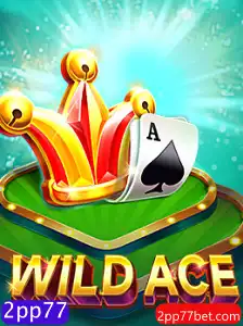 Explorando as Aventuras de WildAce: Visão Geral e Regras do Jogo