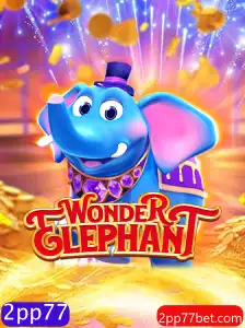 Explorando o Novo Fenômeno do Jogo WonderElephant